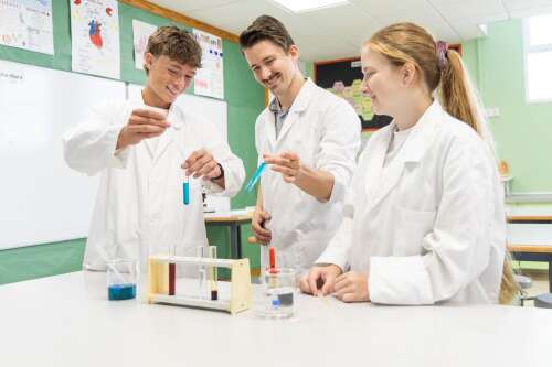 Photo El Limonar International School Villamartín (ELIS Villamartín) #2