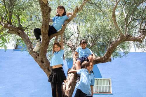 Photo The Olive Tree School #2