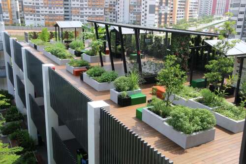 Photo Dulwich College (Singapore) #2