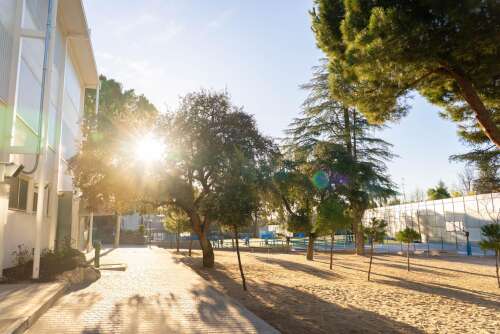 Photo Liceo Europeo #2