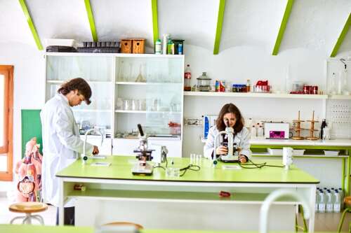 Photo SEK International School El Castillo #2