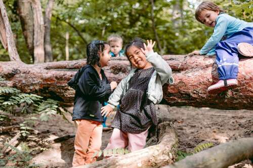 Photo BBIS Berlin Brandenburg International School #2