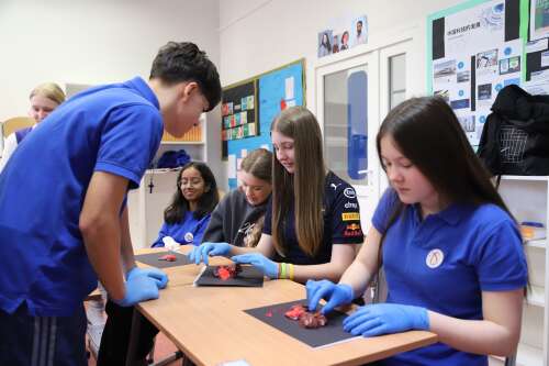Photo International Trilingual School of Warsaw #2