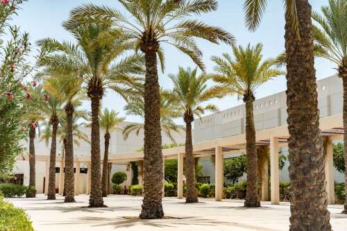 Photo The KAUST School #1