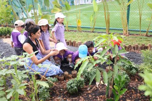 Photo The Perse School (Singapore) #3