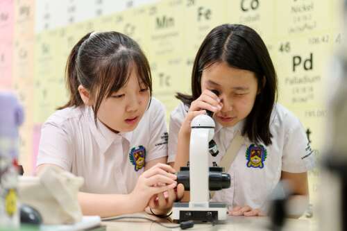 Photo BRITISH INTERNATIONAL SCHOOL HANOI (BIS HANOI) #1