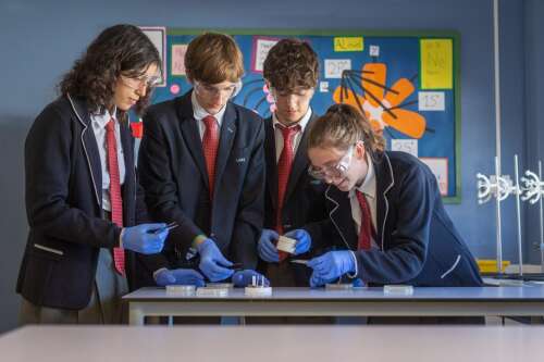 Photo British School of Vila-real #2
