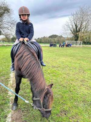 Photo Palacio de Granda #2