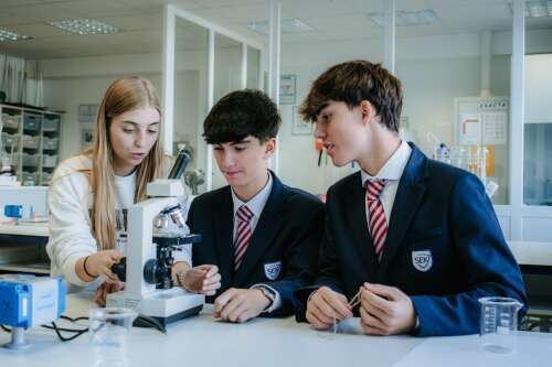 Photo SEK International School Atlántico #2