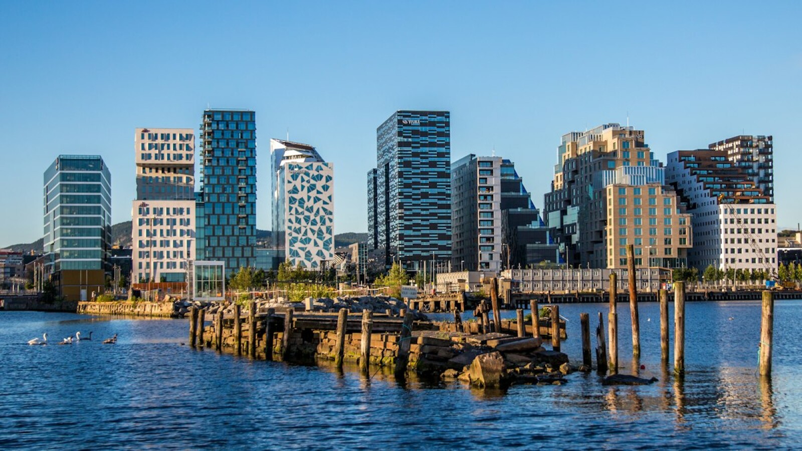 International School Admissions in Oslo: 2026 Step-by-Step Guide