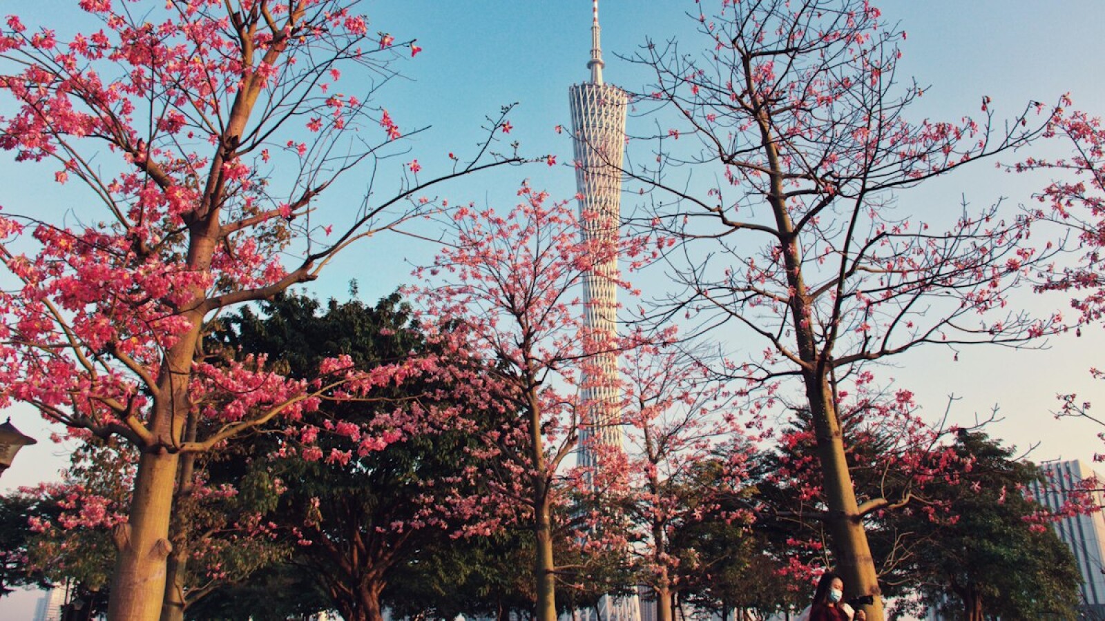 International School Admissions in Guangzhou: 2026 Step-by-Step Guide