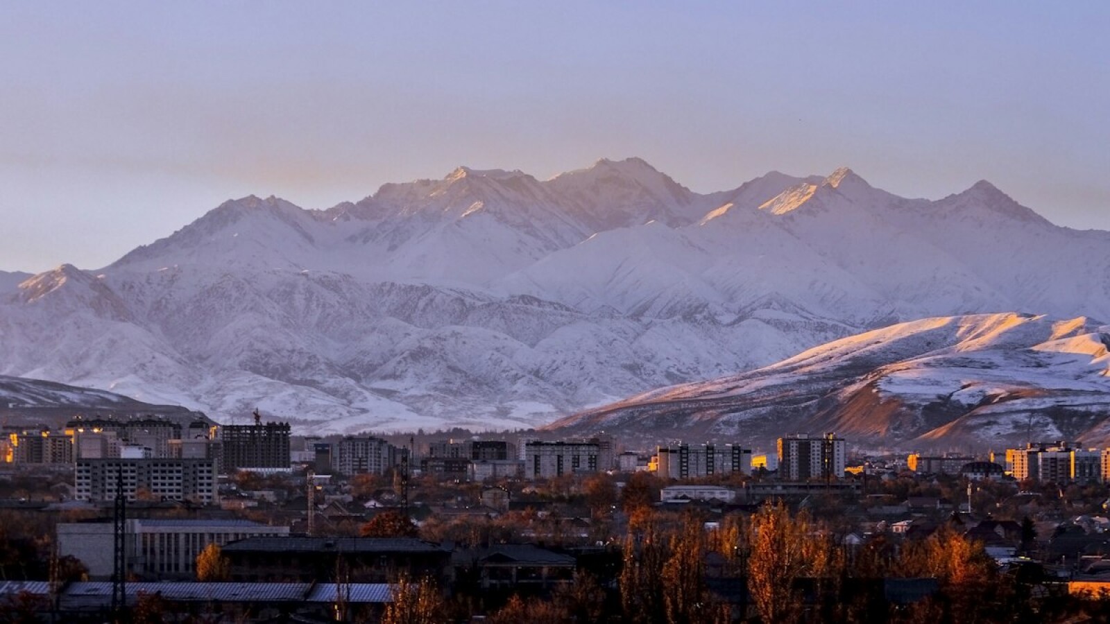 International School Admissions in Bishkek: 2026 Step-by-Step Guide