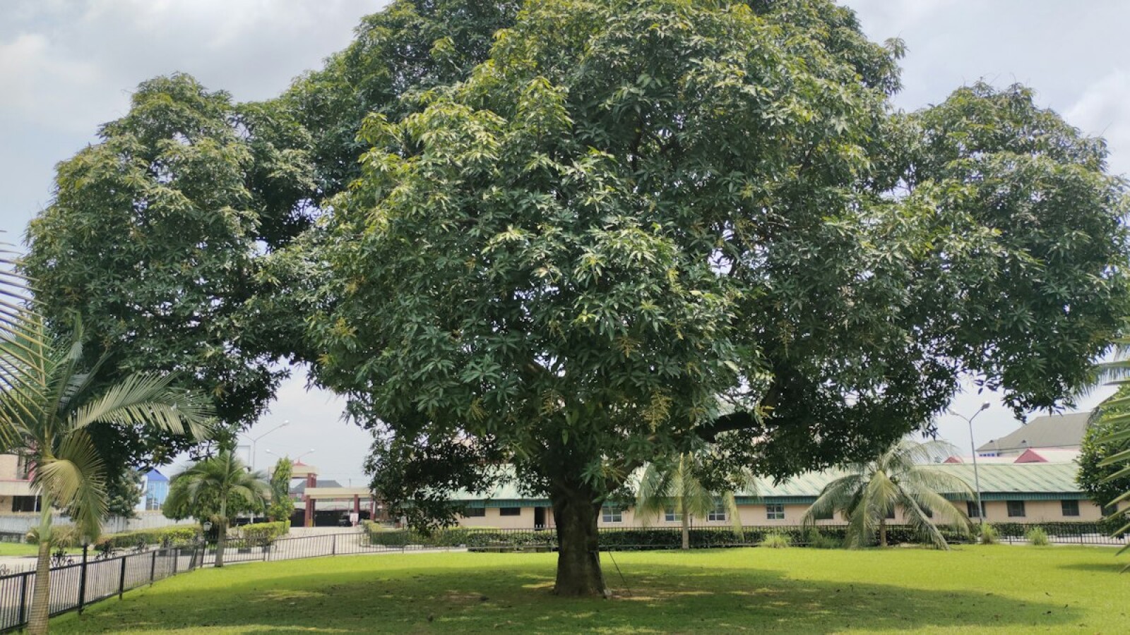 International School Fees in Port Harcourt: 2026 Cost Guide for Expat Families