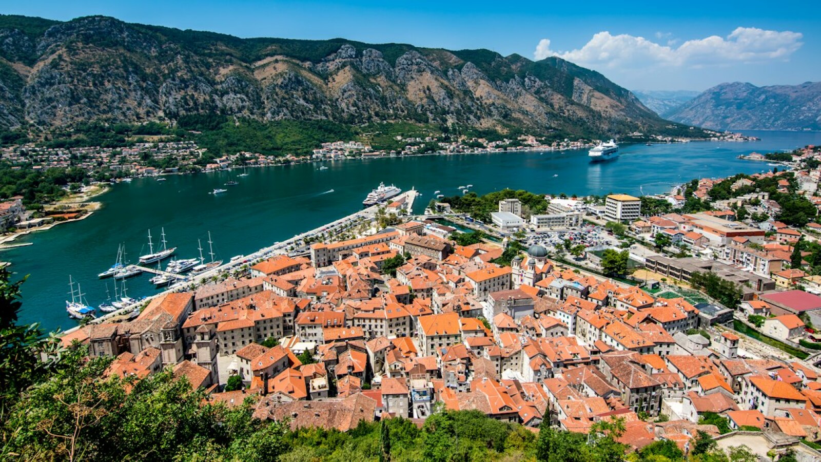 International School Fees in Kotor: 2026 Cost Guide for Expat Families