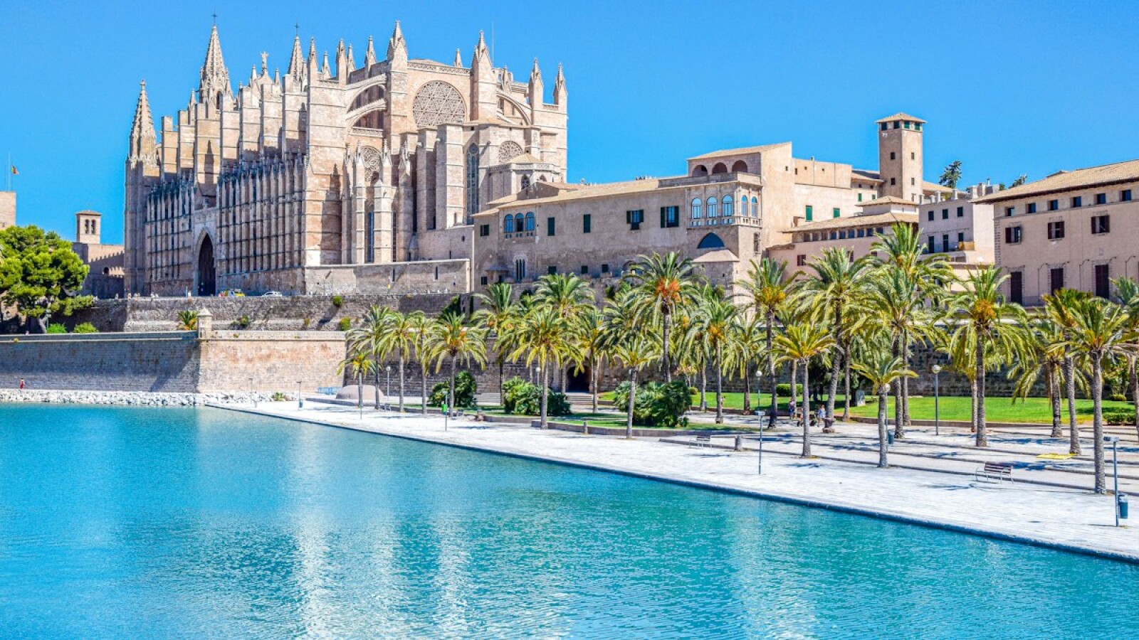 International School Fees in Mallorca: 2026 Cost Guide for Expat Families