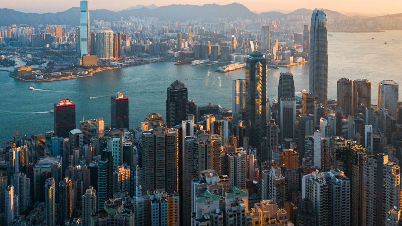 Bilingual Schools in Hong Kong: A 2026 Guide for Expat Families