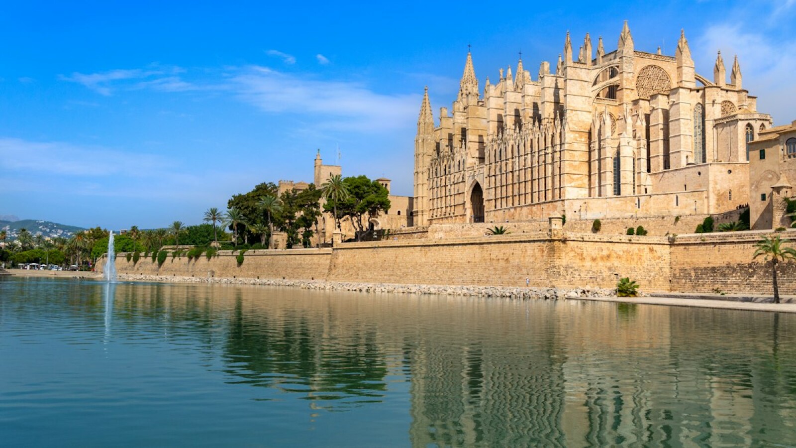 How to Choose an International School in Mallorca: 2026 Family Guide