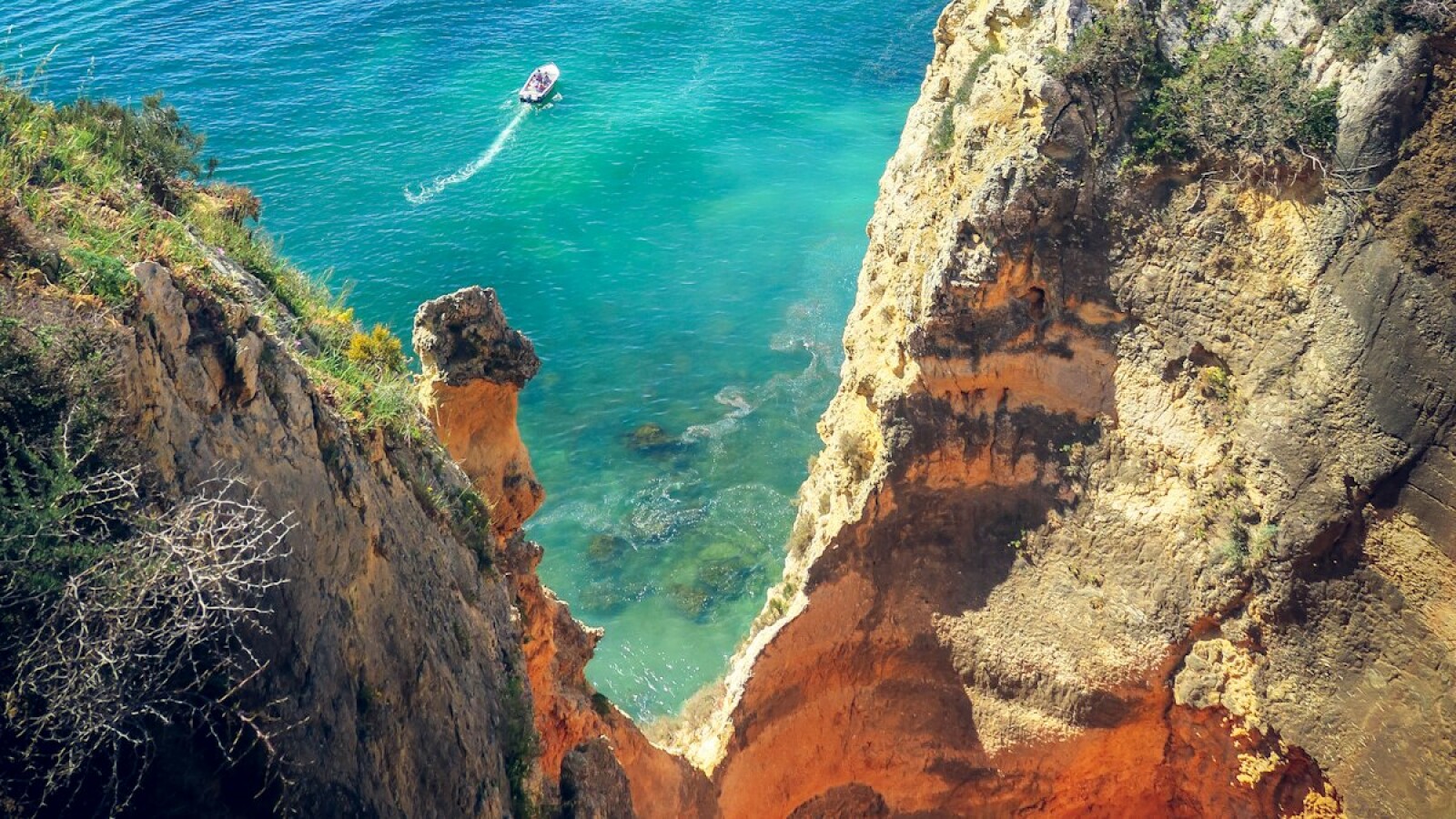 Best International Schools in the Algarve: 2026 Guide for Families