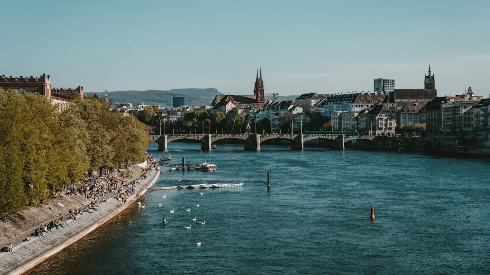 Best International Schools in Basel: 2026 Guide for Families