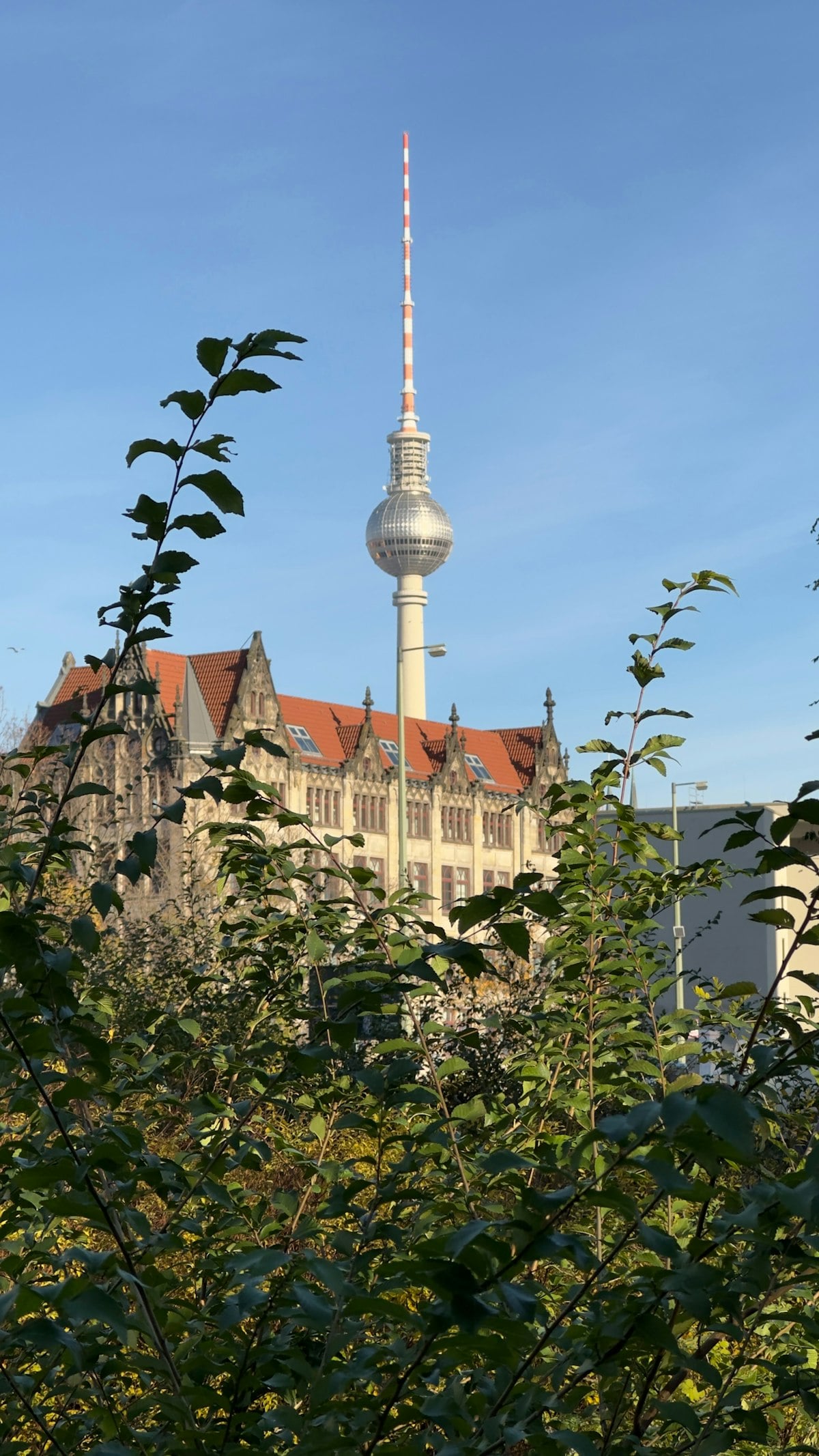 International School Fees in Berlin: A 2026 Cost Guide for Expat Families