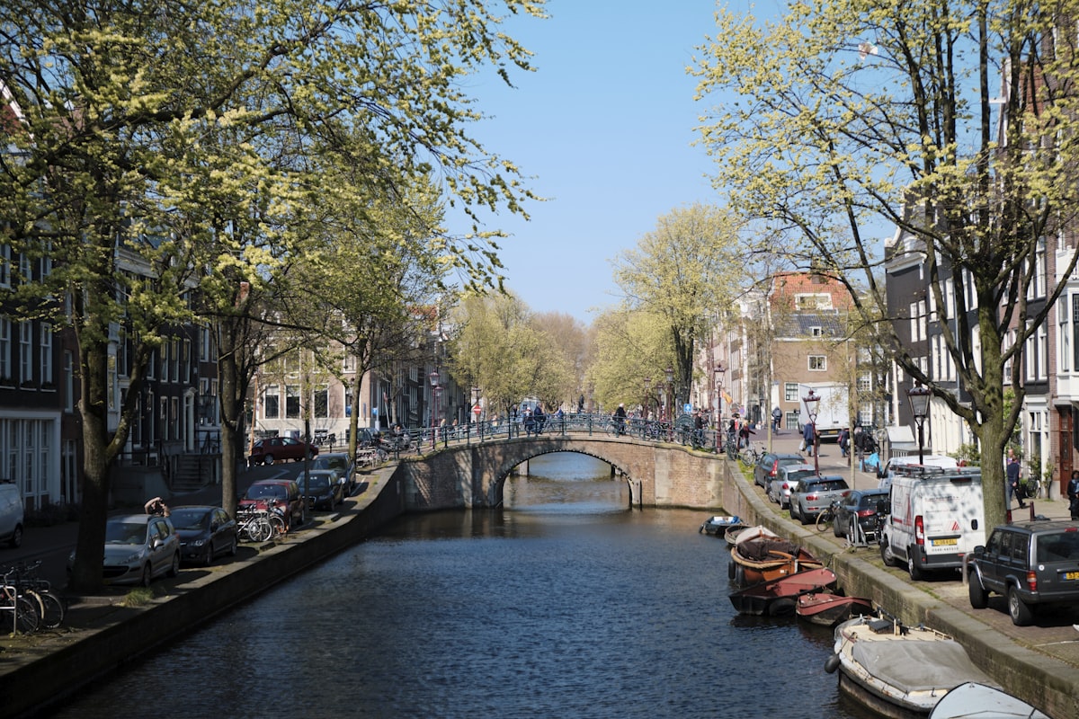 International School Admissions in Amsterdam: 2026 Expat Guide