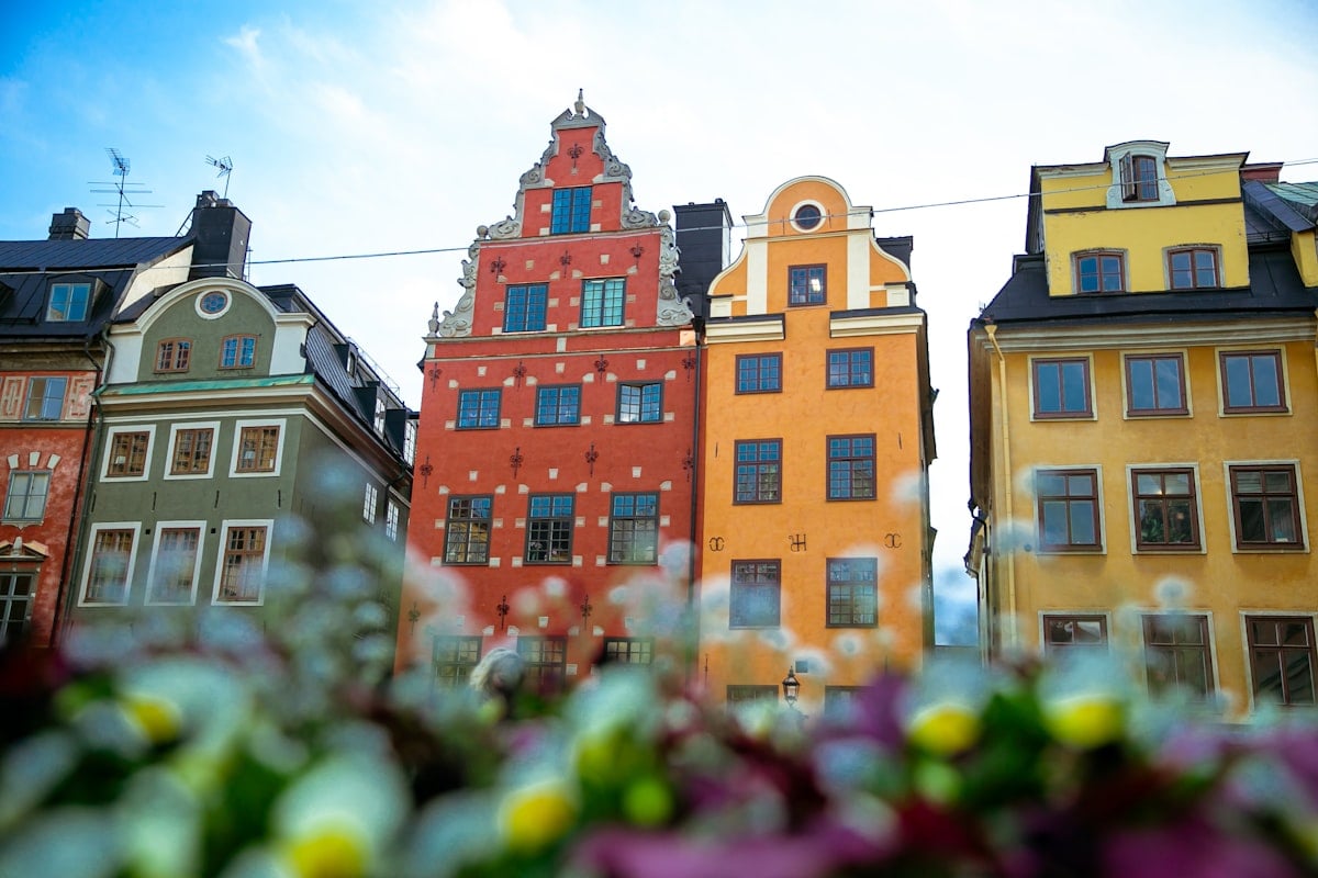 How to Choose an International School in Stockholm: 2026 Family Guide