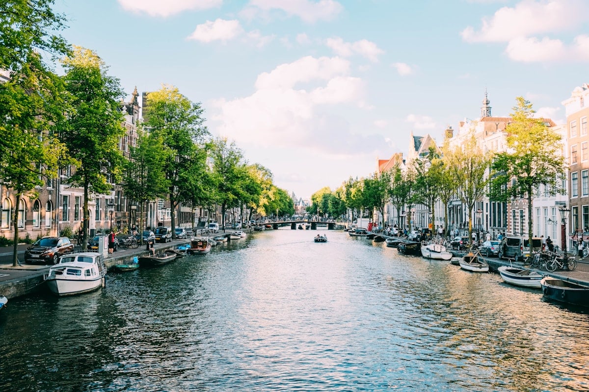International School Costs in Amsterdam: Real 2026 Fee Guide