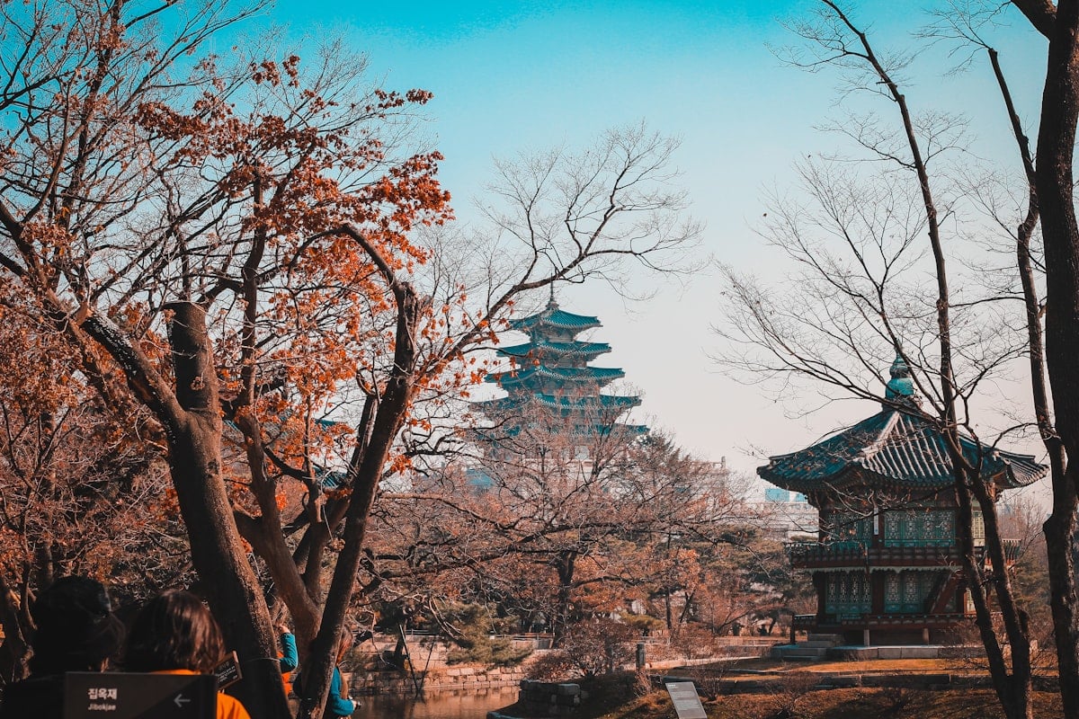 International School Admissions in Seoul: 2026 Expat Application Guide