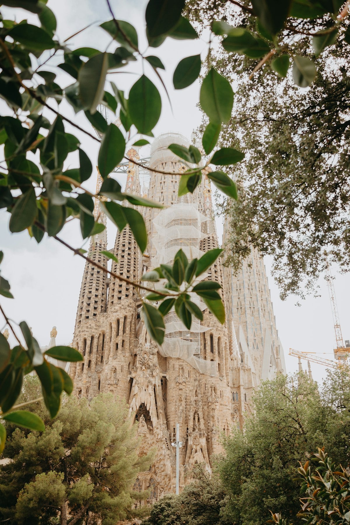 Best International Schools in Barcelona: 2026 Guide for Expat Families