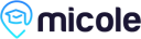 Logo de European College of Madrid
