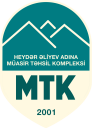 Logo de MTK International School