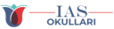 Logo de Istanbul American Schools