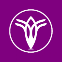 Tulip International College