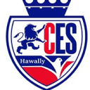 Logo de Cambridge English School