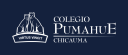 Logo de Pumahue Chicauma