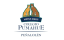 Logo de Pumahue Peñalolén