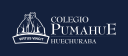 Logo de Pumahue Huechuraba